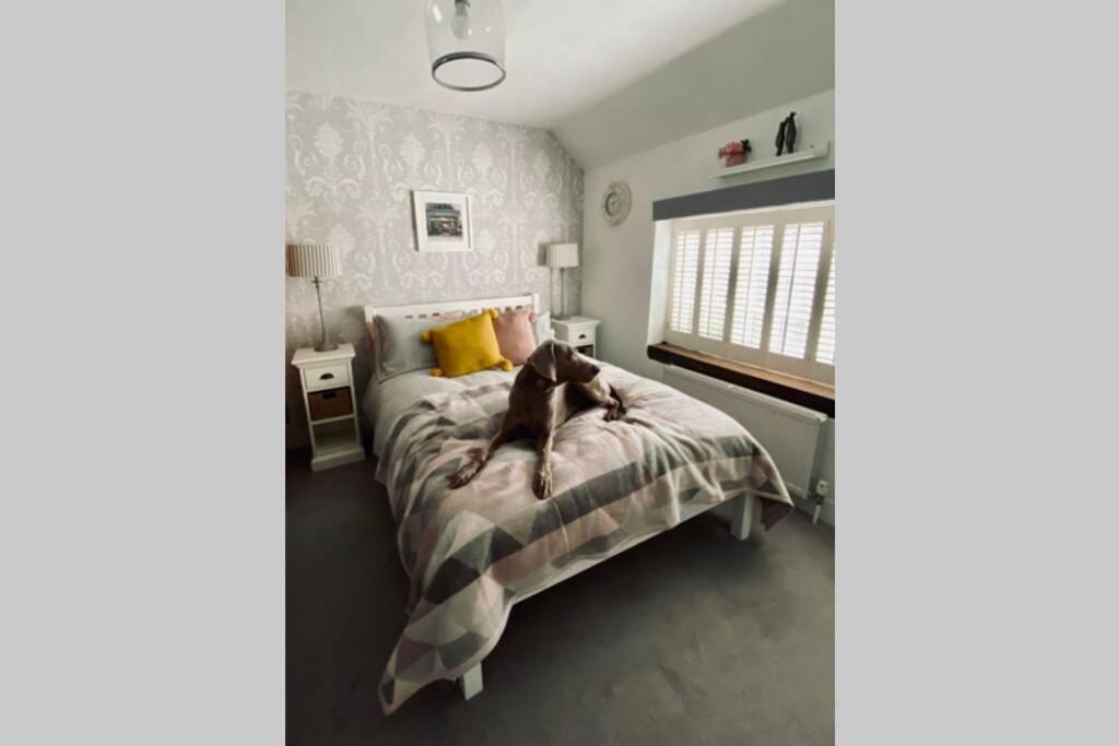 Angel Cottage, Boxgrove, Chichester - Relax And Unwind Esterno foto